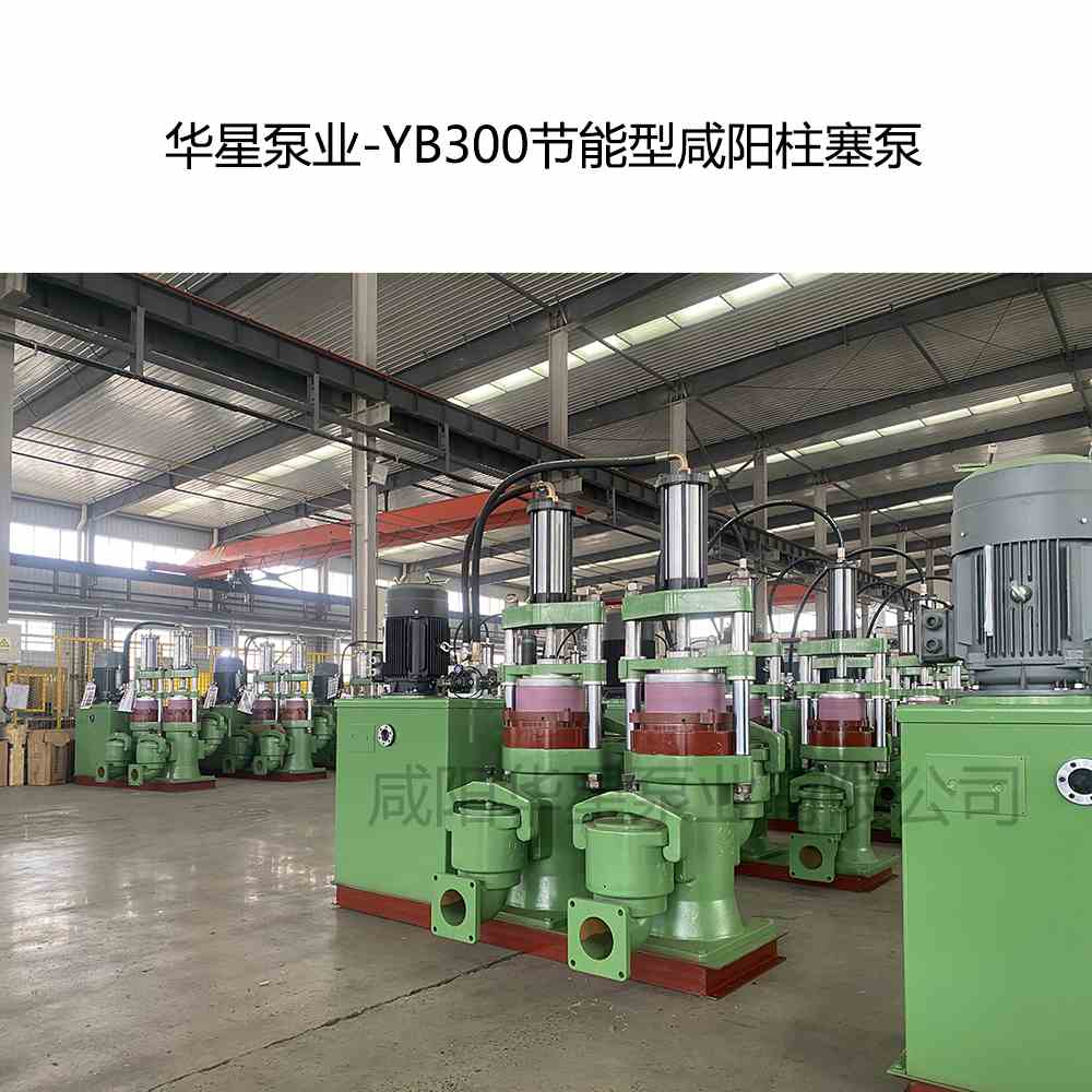 華星泵業(yè)-YB300節(jié)能型咸陽(yáng)柱塞泵