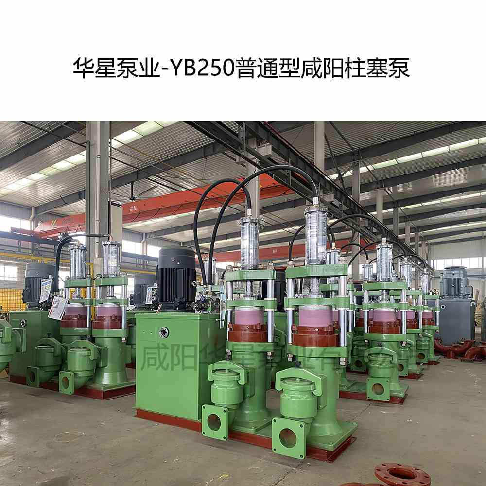 華星泵業(yè)-YB250普通型咸陽柱塞泵